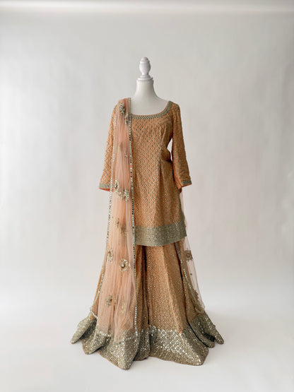 Abhinav Mishra Peach Mirror Work Sharara Set