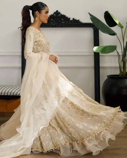 Threads & Motifs Beige Mirror Work Gown
