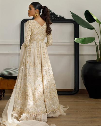Threads & Motifs Beige Mirror Work Gown