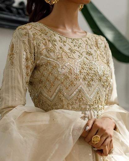 Threads & Motifs Beige Mirror Work Gown